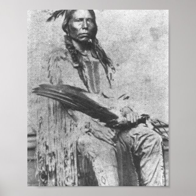 Poster Cavalo Louco (Frente)