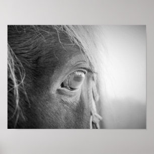 Poster Cavalo mágico preto e branco