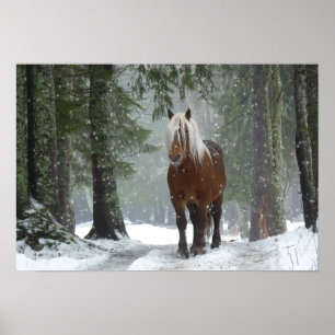 Poster Cavalo marrom em uma floresta de inverno com neve