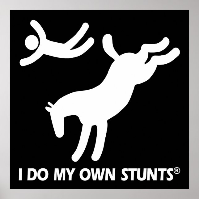 Poster Cavalo, minhas próprias acrobacias (Frente)