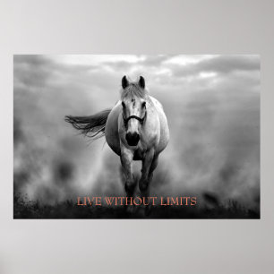 Poster Cavalo Motivacional Branco Negro Vive Sem Limites