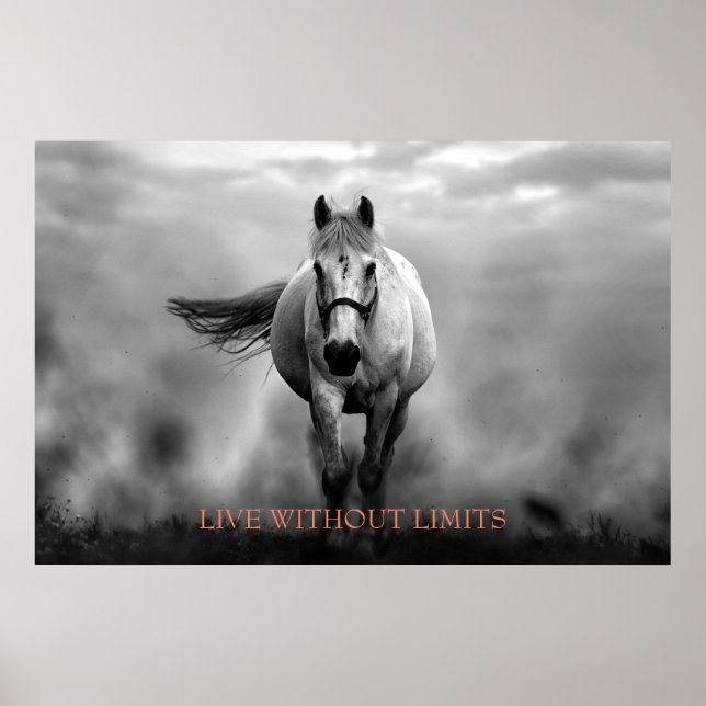 Poster Cavalo Motivacional Branco Negro Vive Sem Limites (Frente)