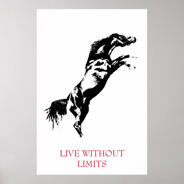 Poster Cavalo Motivacional Branco Negro Vive Sem Limites (Frente)