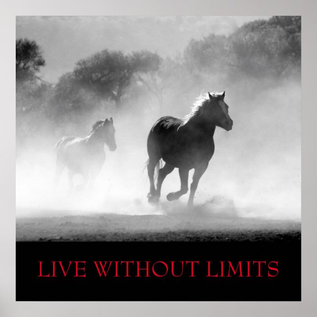 Poster Cavalo Motivacional Branco Negro Vive Sem Limites (Frente)