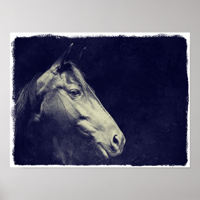 Poster Cavalo Negro (Frente)