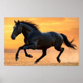 Poster Cavalo Negro Correndo