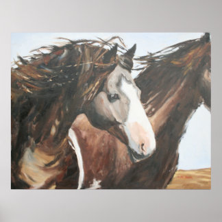 Pôster Cavalo Negro, Dia Brilhante