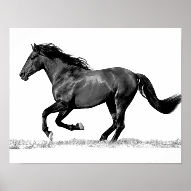 Pôster Cavalo Negro e Branco Corrente (Frente)