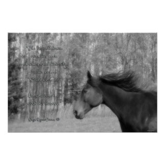 Pôster Cavalo Negro e Poema de Aluguer com Foto B&W Equin