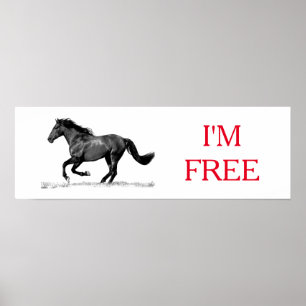 Poster Cavalo Negro Fugindo Sou Liberdade