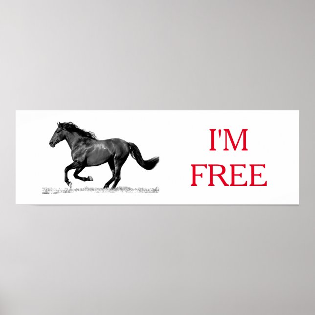 Poster Cavalo Negro Fugindo Sou Liberdade (Frente)
