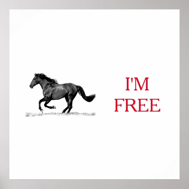 Poster Cavalo Negro Fugindo Sou Liberdade (Frente)