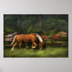 Pôster Cavalo - No Prado