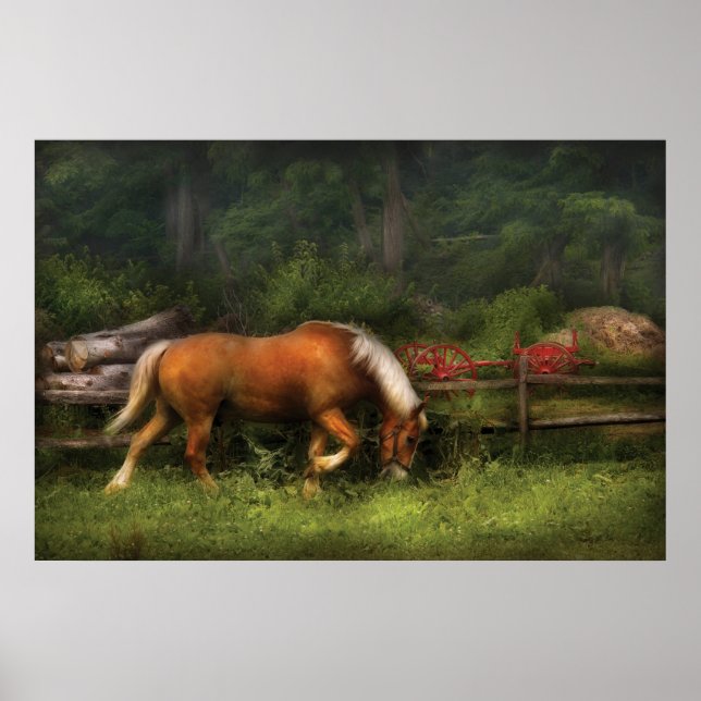 Pôster Cavalo - No Prado (Frente)