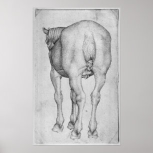 Pôster Cavalo, o do álbum de Vallardi