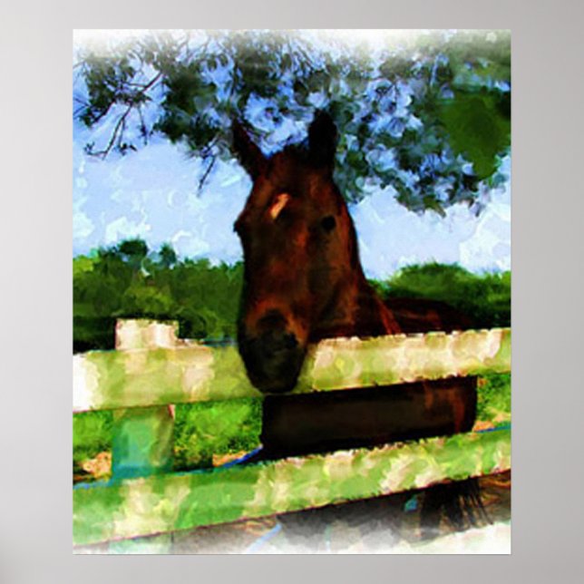 Pôster Cavalo Olá Aquarela (Frente)
