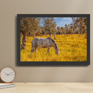 Poster Cavalo pastoreando num campo de flores amarelas