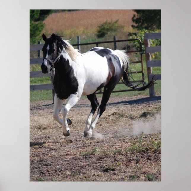 Poster Cavalo/Pintura (Frente)