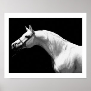 Poster Cavalo Preto & Branco