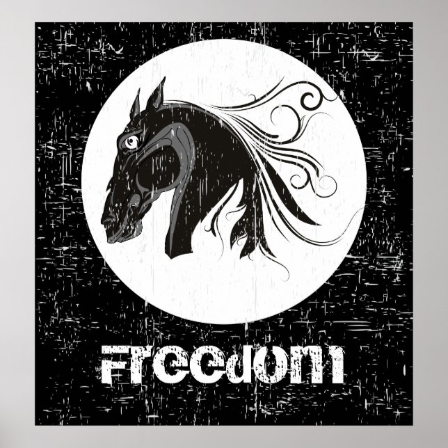 Pôster Cavalo preto branco, com cabeça de cavalo (Frente)