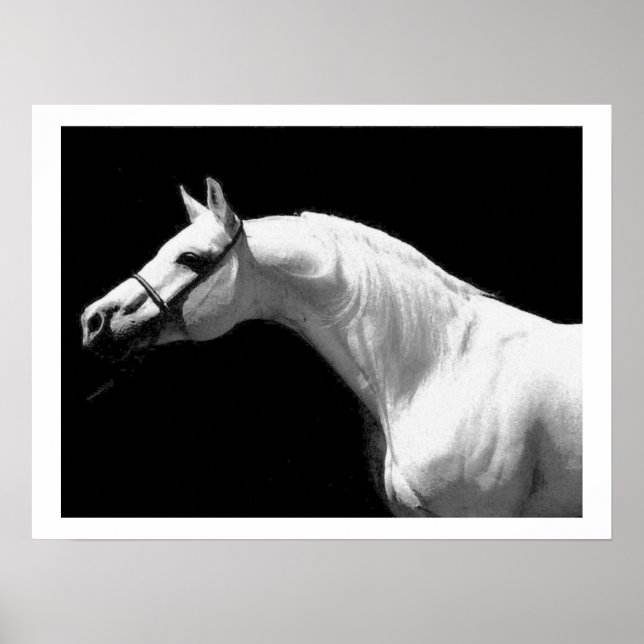 Poster Cavalo Preto e Branco (Frente)