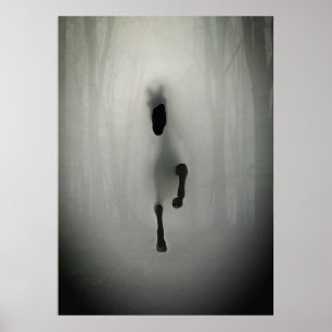 Poster Cavalo Preto Misterioso Correndo na Floresta Nebul