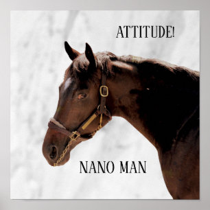 Poster Cavalo puro - Homem nano - Atitude