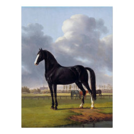 Pôster Cavalo Raça Negra por volta de 1828