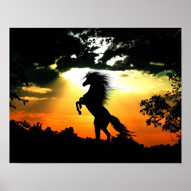 Poster Cavalo rebelde ao pôr do sol (Frente)