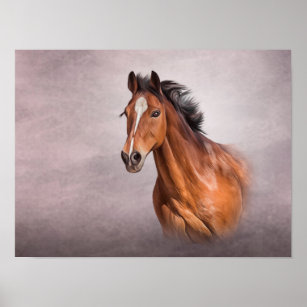 Poster de retrato de cavalo em desenho de lápis de