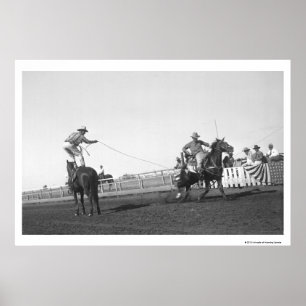 Pôster Cavalo-rolha