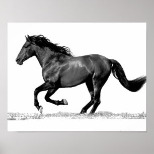 Pôster Cavalo Running preto & branco