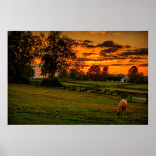 Poster Cavalo solitário ao pôr do sol