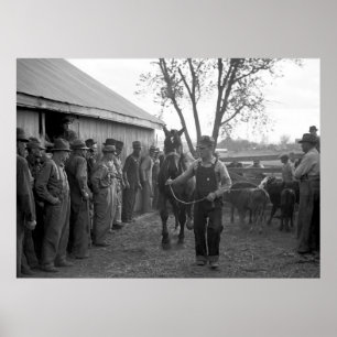 Pôster Cavalo Venda, 1939