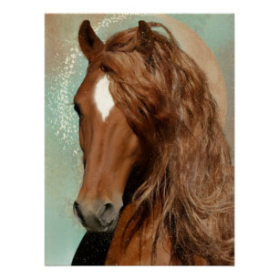 Pôster Cavalo Vermelho - Poster