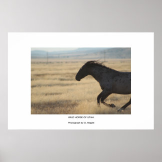 Pôster CAVALO Wi-Fi DA FOTOGRAFIA UTAH