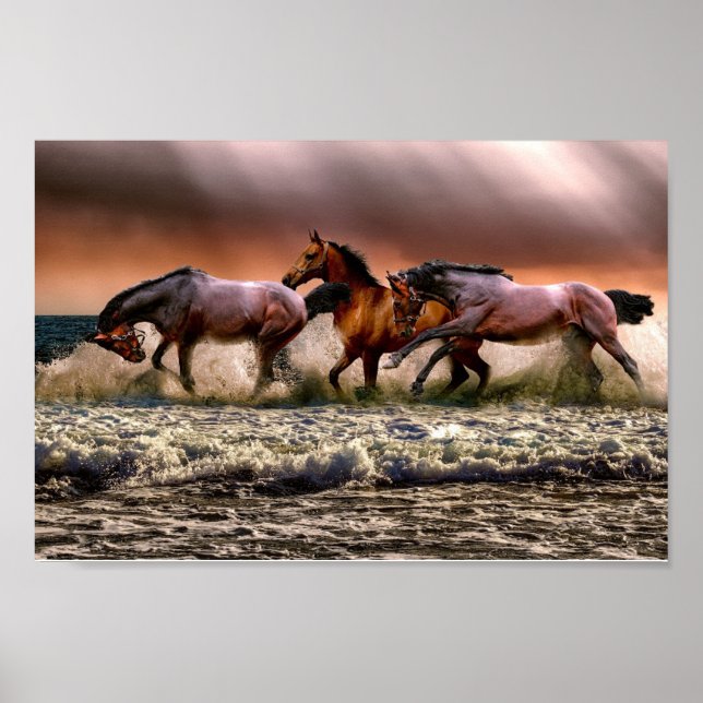 Poster Cavalos (Frente)