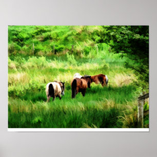 POSTER CAVALOS
