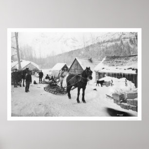 Pôster Cavalos Alaska 1912 da fuga de Valdez