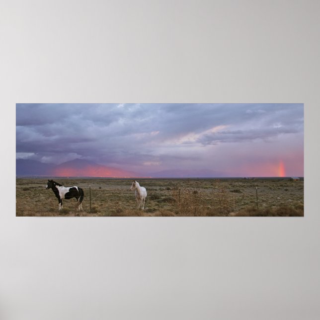 Pôster Cavalos após a tempestade (Frente)