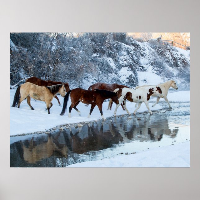 Poster Cavalos Atravessando o Riacho (Frente)