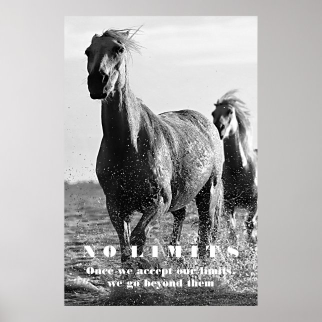 Poster Cavalos brancos pretos Motivação sem limites Traba (Frente)