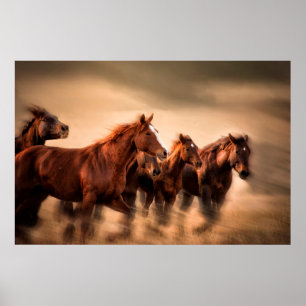 Poster Cavalos correndo, borrão e crinas voando