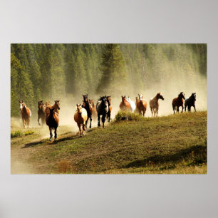 Poster Cavalos correndo em Montana ranch