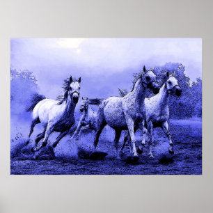 Poster Cavalos correndo em Trabalho de arte azul noturno