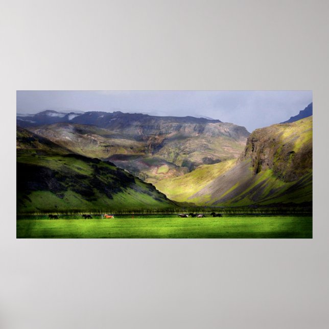 Pôster Cavalos corridos Islândia (Frente)