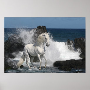 Poster Cavalos da fantasia: Mares do sul