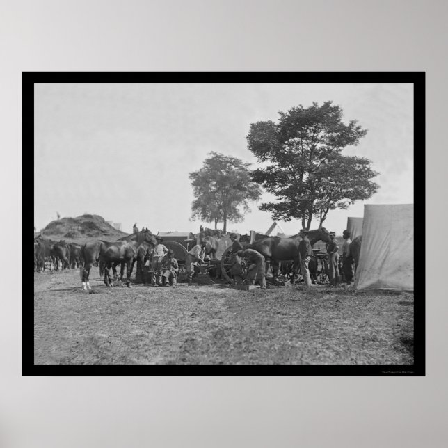 Pôster Cavalos de Atirada de ferreiro em Antietam 1862 (Frente)
