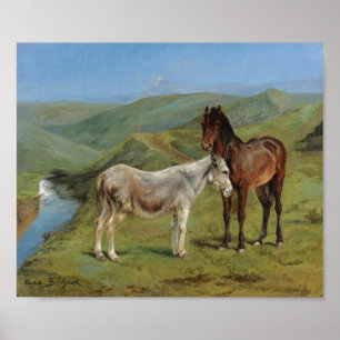 Poster Cavalos de Cinza clara num campo (Equine Fazenda A