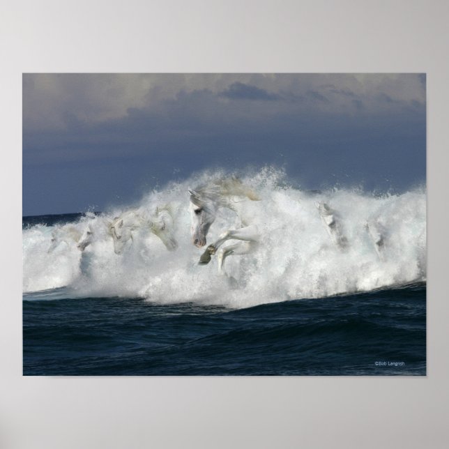 Poster Cavalos de Fantasia: Mar (Frente)